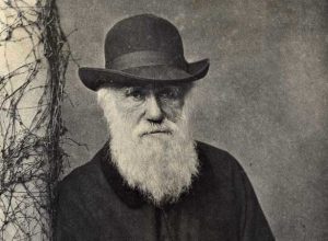darwin, espresso filosofic